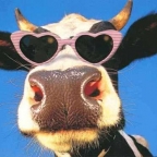 Portrait de Fernando