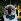 giaanc's Avatar